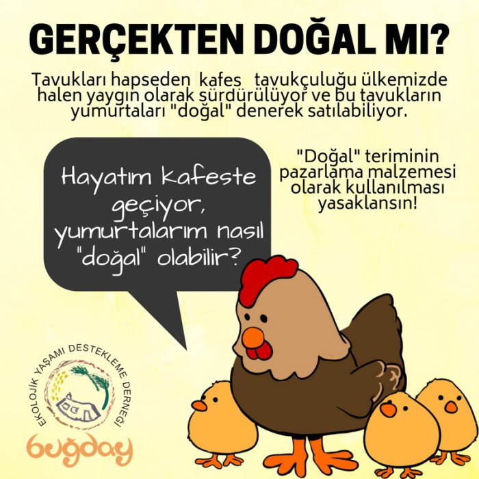 dogal mi 4