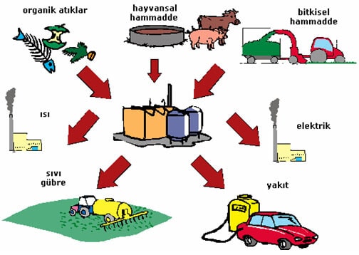 organik atiklarin geri donusumu