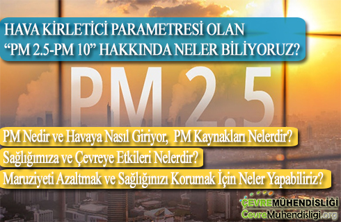pm 2 5 makale