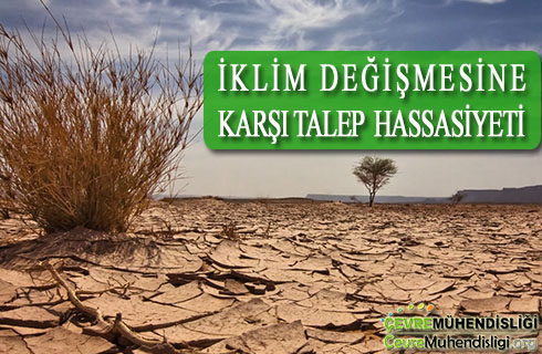 iklim degismesine karsi talep hassasiyeti