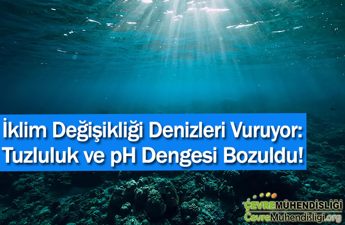 İklim Değişikliği Denizleri Vuruyor: Tuzluluk ve pH Dengesi Bozuldu!