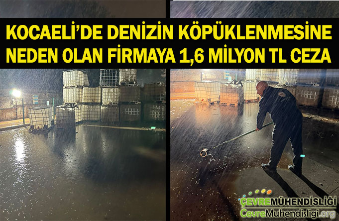 kocaeli de deniz kopuklenmesi