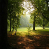orman_s