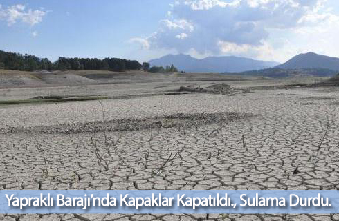 yapraklibaraji 2017haber